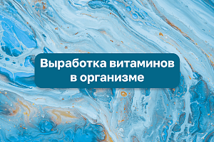 Что влияет на выработку витаминов в организме?